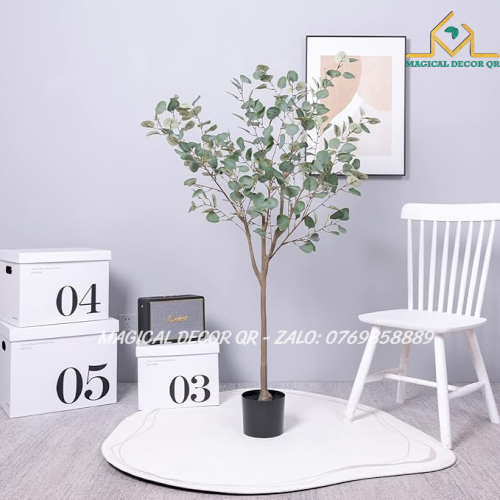 Cây Bạch Đàn Lá Xanh