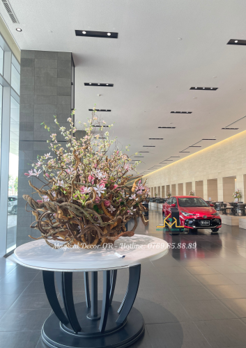 Toyota - Đà Nẵng (mùa Hoa Anh Đào)