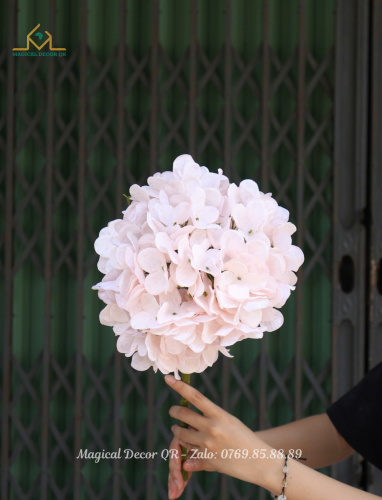 Hoa Cẩm Tú Cầu Hồng