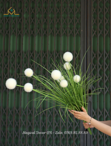 Cỏ Lau Bi Trắng 100cm