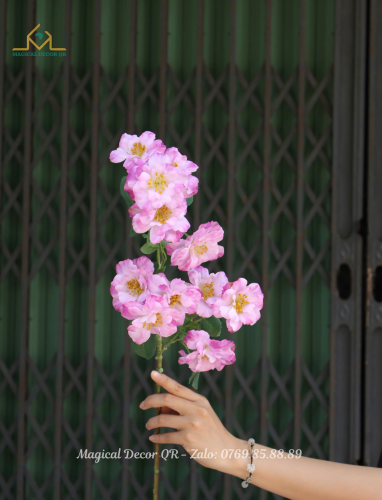 Hoa Hồng Nở Hồng Đậm