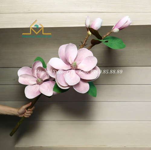 Mộc lan cổ - Hồng