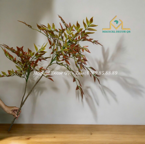 Cành Nam Thiên Trúc Cam