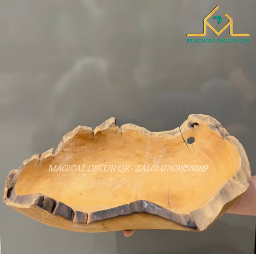 Khay gỗ lũa mẫu 8 