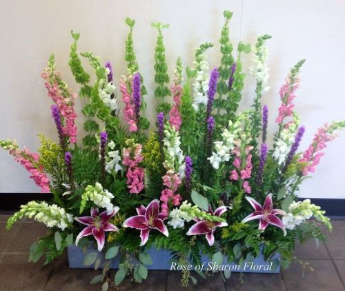 Hoa nghệ thuật mã 65