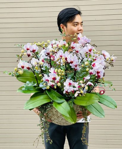 Hoa nghệ thuật mã 67