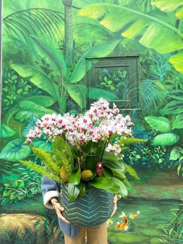 Hoa nghệ thuật mã 69