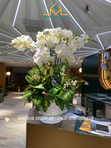 Lan Hồ Điệp Mẫu 14