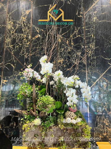 Lan Hồ Điệp mẫu 7