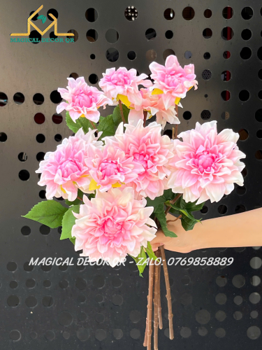 Hoa Thược Dược 