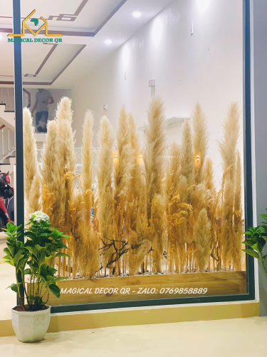 Tiểu Cảnh Lau Khô 