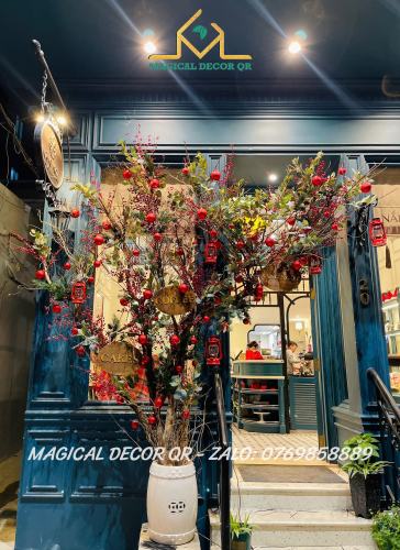 Nắng Ngọt ( Mùa Noel ) - Đà Nẵng