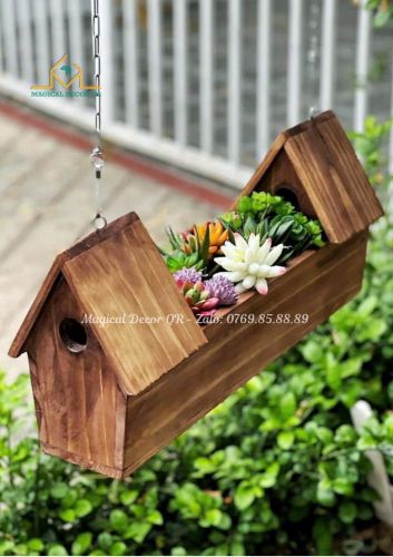 Chậu sen đá mái nhà đôi