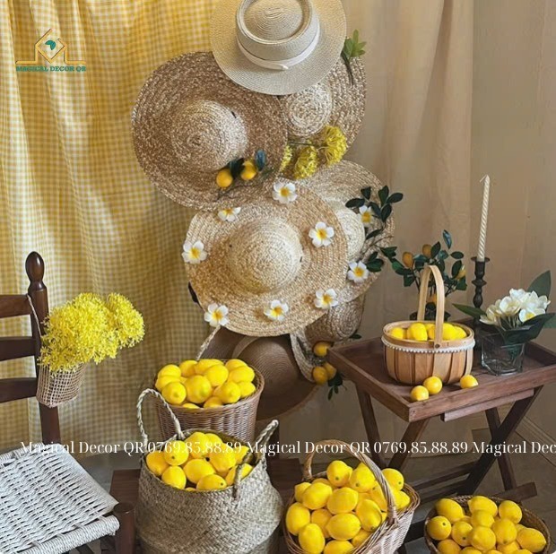 486800510-978883871049298-2069319613676706878-n